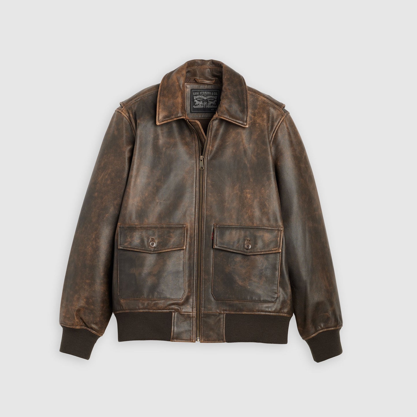 Levi's® Men's Clayton Leather Aviator Jacket